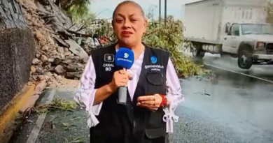 Jornalista é atropelada ao vivo durante reportagem no México